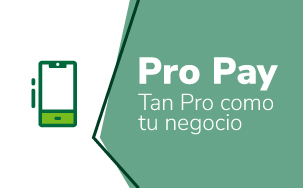 imagenes-web 2026 pro-pay