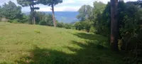 Property Detail