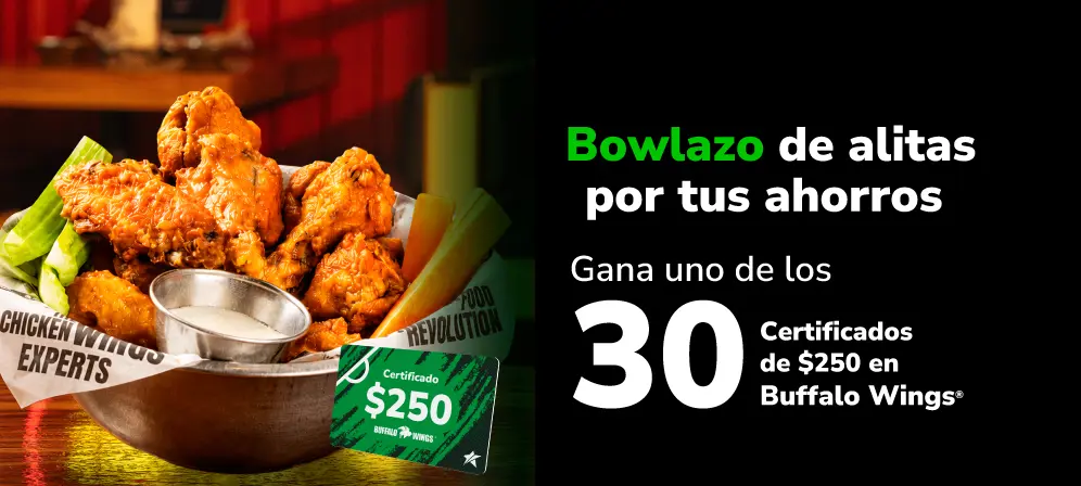 web-banner-bowlazo-2026