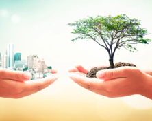 Somos un Banco Verde