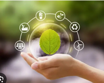 Somos un Banco Verde