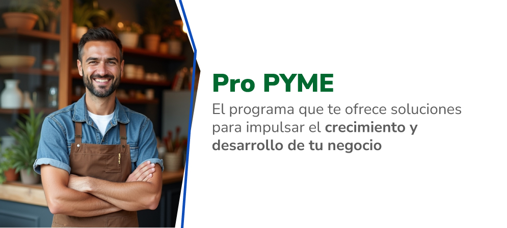 banner-web nueva-medida pro-pyme-35