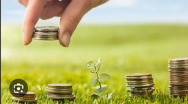 Somos un Banco Verde